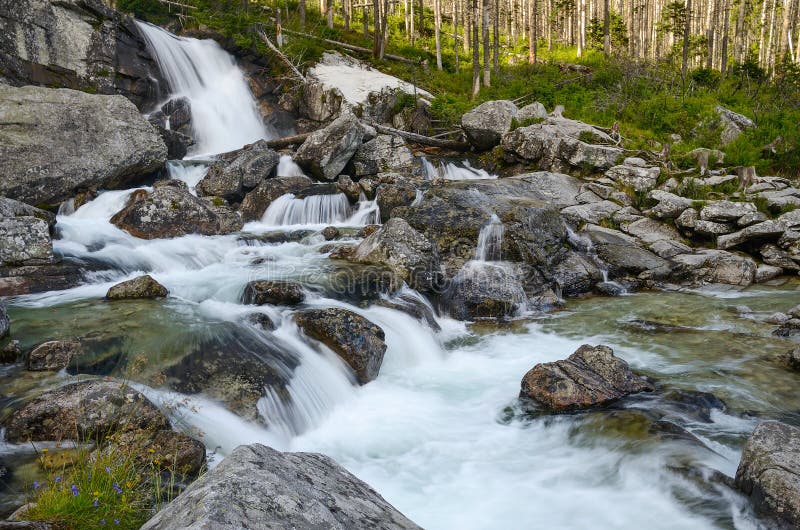 Cold creek in cold valley, High Tatras, Slovakia