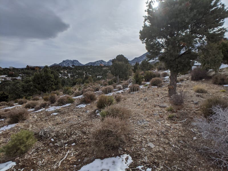 Cold Creek, Nevada & X28;scenery& X29; Stock Image Image of nevada