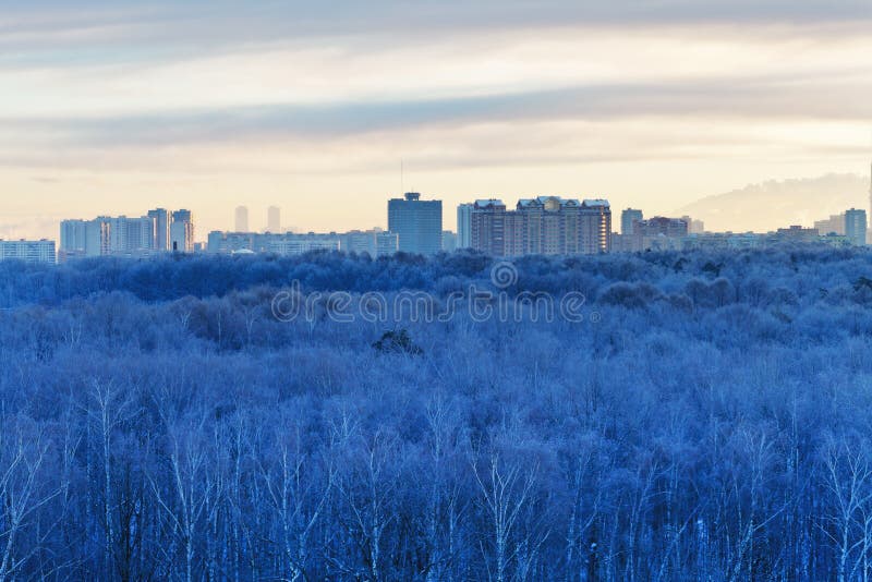 Cold dawn over blue frozen city park in winter