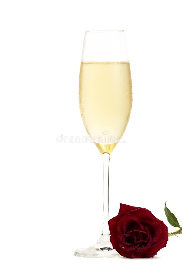 Cold glass of champagne with a wet red rose