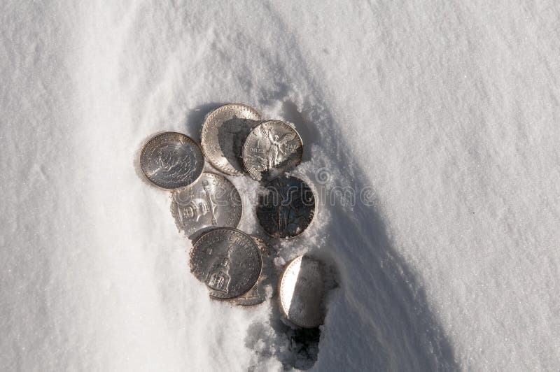snow coins