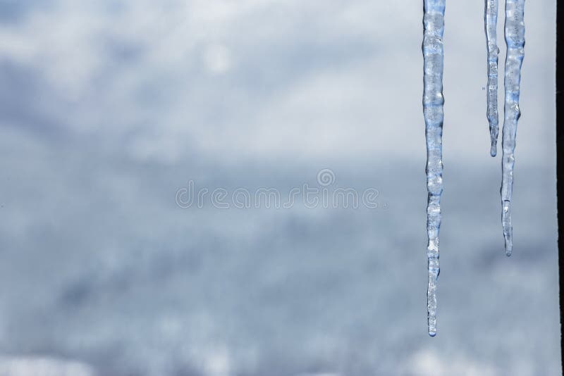 Cold icicles of clear ice stock photo. Image of christmas 91118606