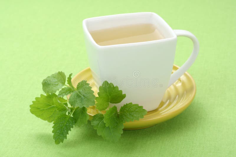 Cold mint tea stock photo. Image of drink, lifestyle, food 5128198