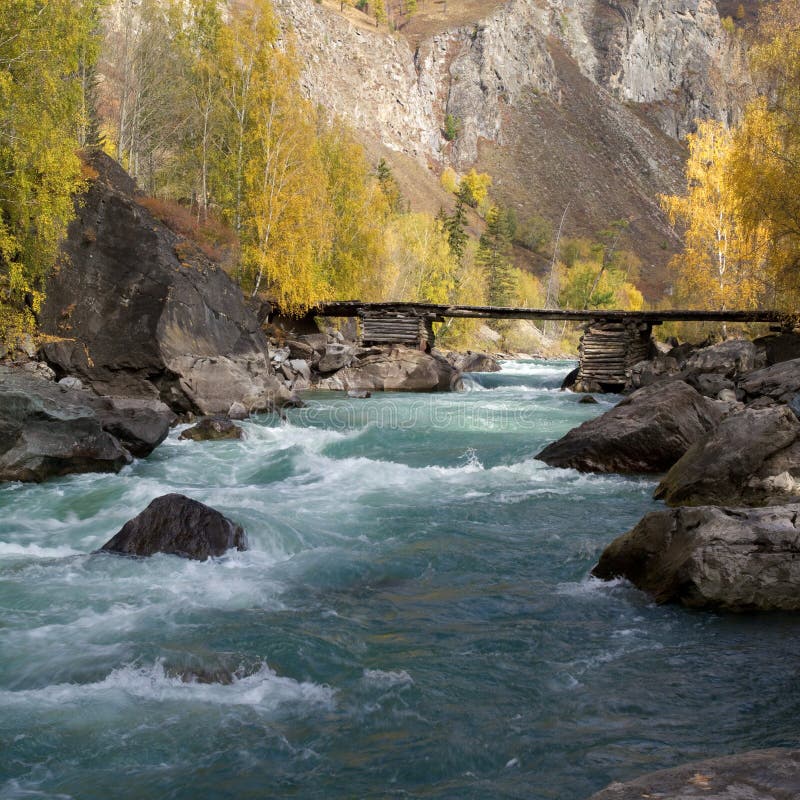 Cold River at the jungle stock image. Image of tree 258199941