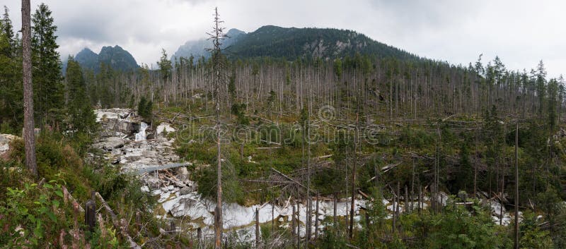 Cold water creek waterfalls in High Tatra mountains, Slovakia