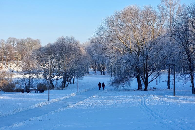 Cold winter day at sunny day - walk path in Panevezys park Lithuania