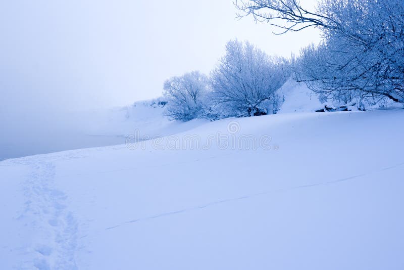 Cold winter landscape