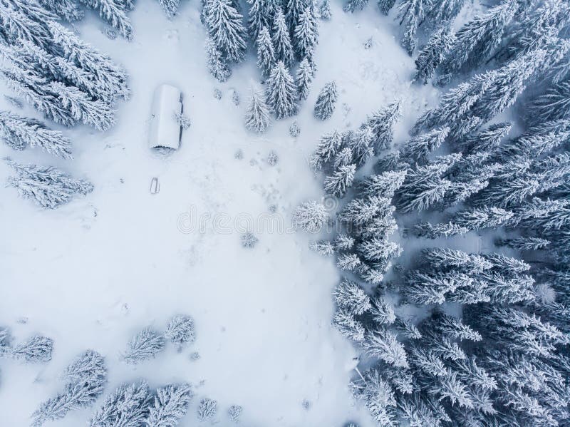 Studené zimné ráno v horských lesoch so zasneženými jedľami. Tatry, slovensko. Letecký pohľad. Chata sama v snehovom lese.