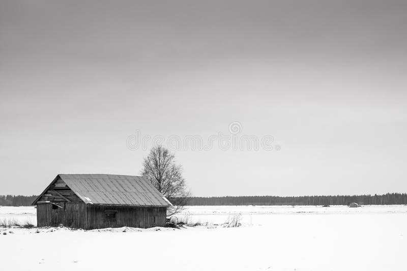 Coldness Of February. February is a cold month up in the Northern Finland. Even the barn houses seem to look for a warmer place to be royalty free stock photo Coldness Of February. February is a cold month up in the Northern Finland. Even the barn houses seem to look for a warmer place to be royalty free stock photo