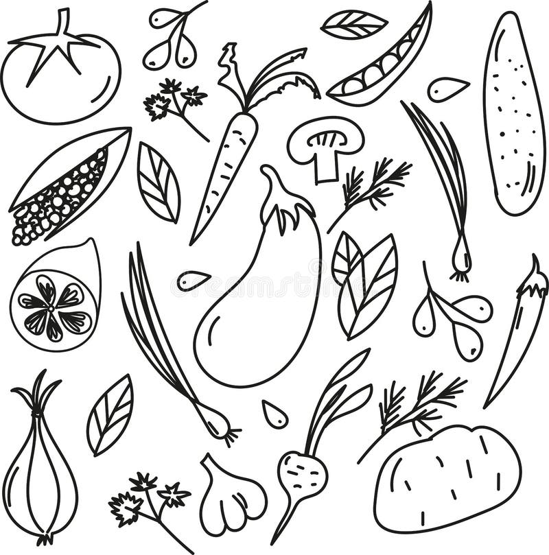 Produtos Hortícolas, Cartoon, Cenoura PNG, Desenhos De Legumes