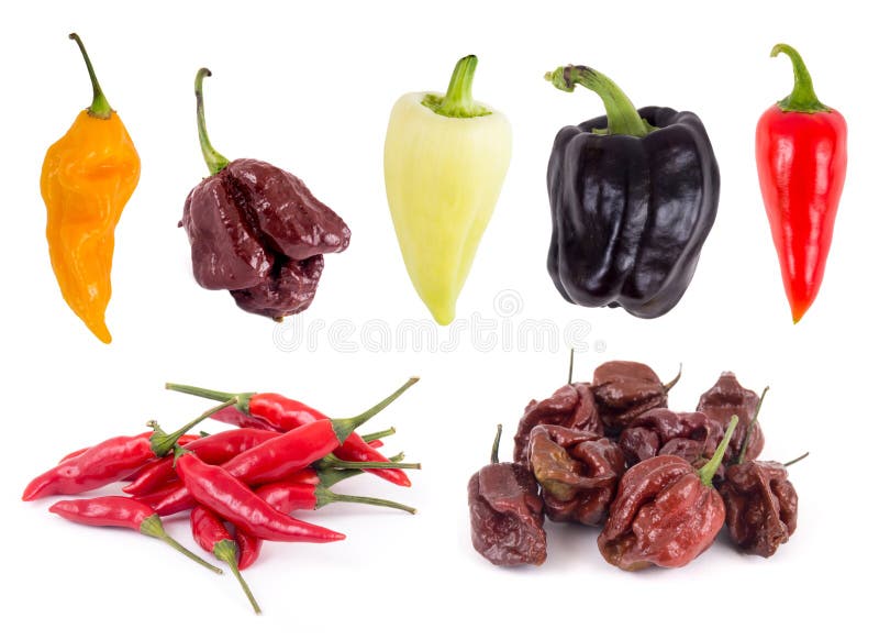 Colección de la variedad del dulce y del pimiento picante imagenes de archivo Colección de la variedad del dulce y del pimiento picante imagenes de archivo