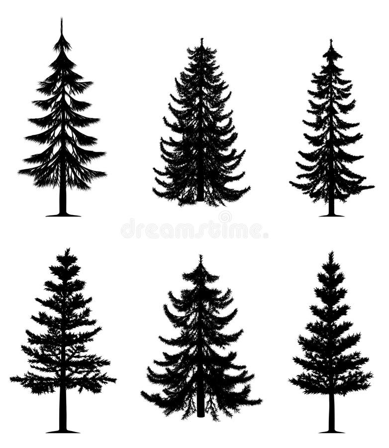Colección de los árboles de pino