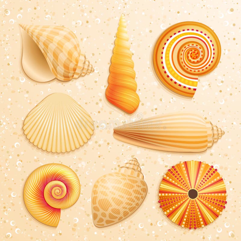 Colección del Seashell en fondo de la arena libre illustration Colección del Seashell en fondo de la arena libre illustration