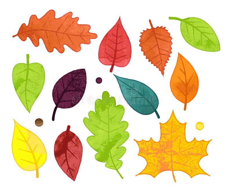 Colección del vector de estilo Autumn Leaves de la acuarela stock de ilustración Colección del vector de estilo Autumn Leaves de la acuarela stock de ilustración