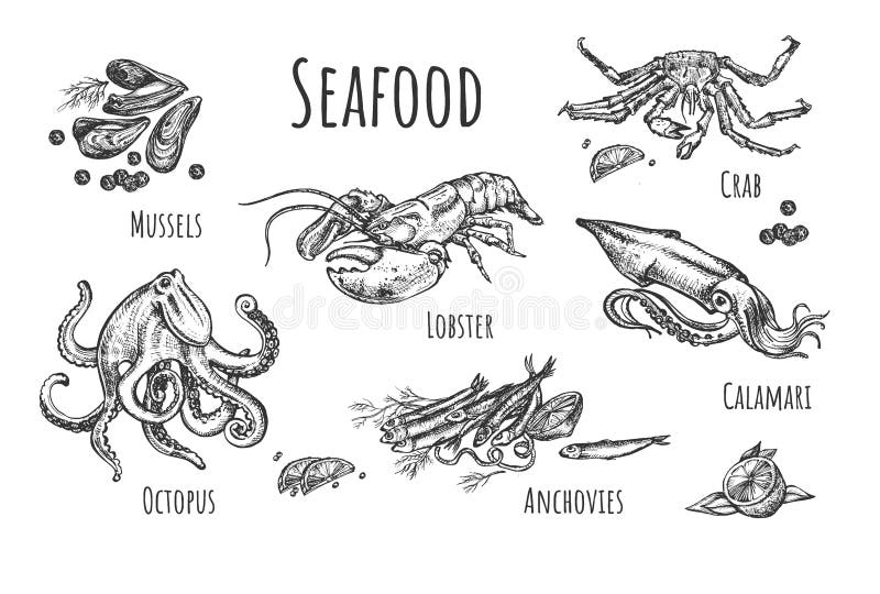 Colección exótica sana de los mariscos ilustración del vector Colección exótica sana de los mariscos ilustración del vector