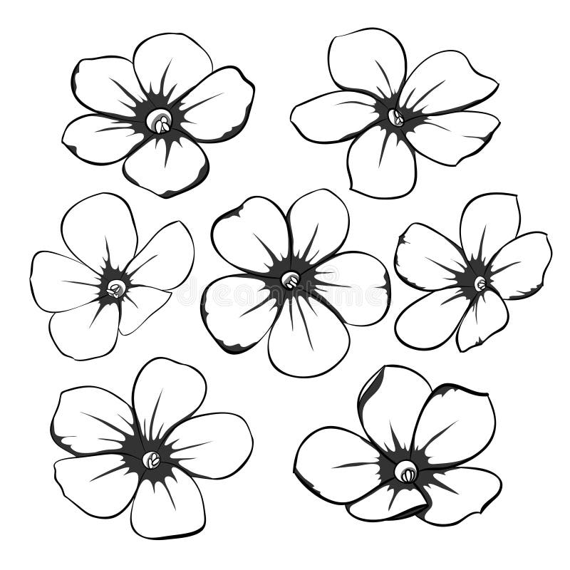 Colección floral blanco y negro monocromática hermosa con las hojas y las flores libre illustration Colección floral blanco y negro monocromática hermosa con las hojas y las flores libre illustration