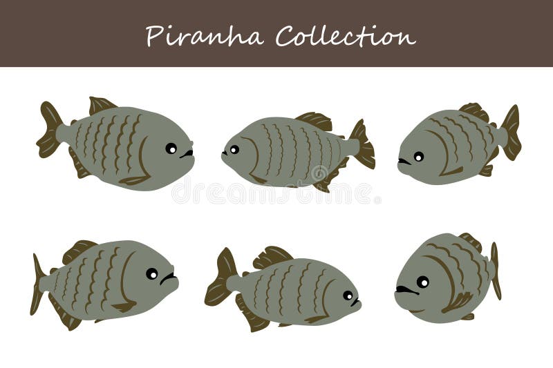 piranha collection. piranha in different poses. Vector illustration. this design looks good. piranha collection. piranha in different poses. Vector illustration. this design looks good