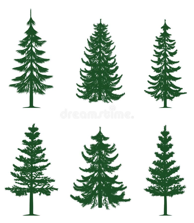 Colección verde de los árboles de pino
