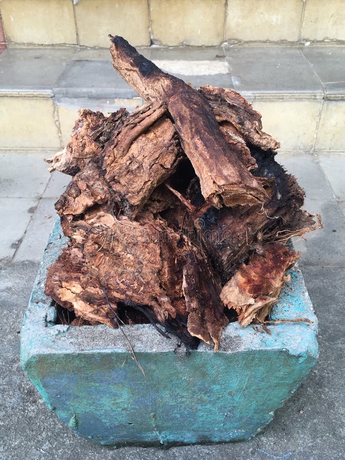 Colecionar varetas de madeira velhas imagens de stock