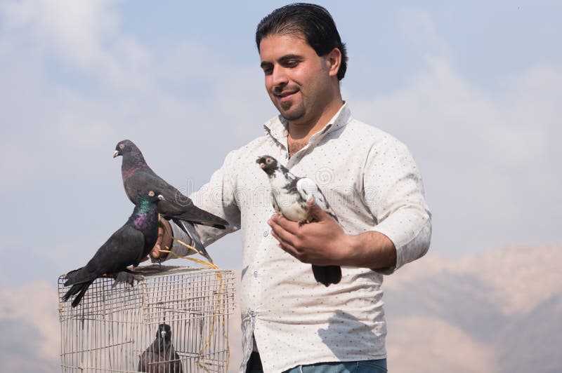 Colecionador de pombos segurando uma gaiola de pássaros com cuidado fotos de stock royalty free
