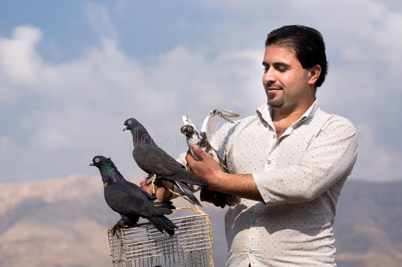 Colecionador de pombos iraquiano fotografia de stock