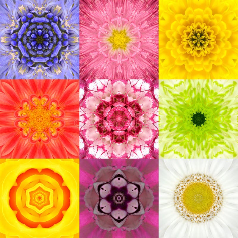 A coleção ajustou caleidoscópio de nove cores das mandalas da flor o vário