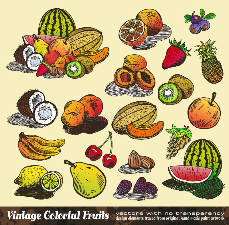 Coleção colorida das frutas do vintage ilustração do vetor Coleção colorida das frutas do vintage ilustração do vetor