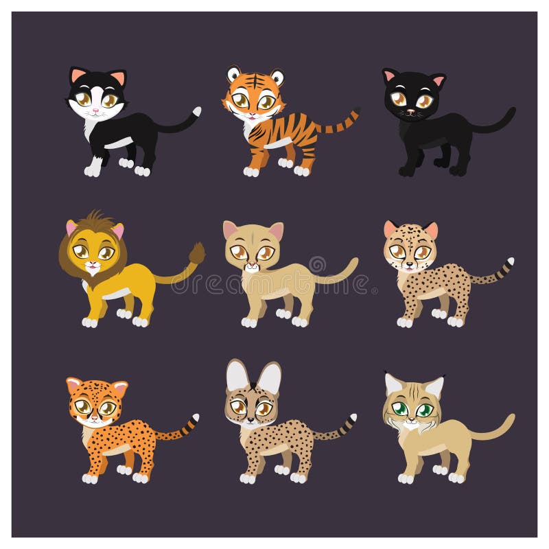 Coleção de nove espécies felinos ilustração royalty free Coleção de nove espécies felinos ilustração royalty free