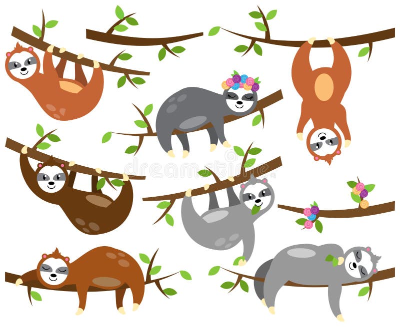 Coleção do vetor de preguiças bonitos em posições diferentes e com bebês ilustração royalty free Coleção do vetor de preguiças bonitos em posições diferentes e com bebês ilustração royalty free