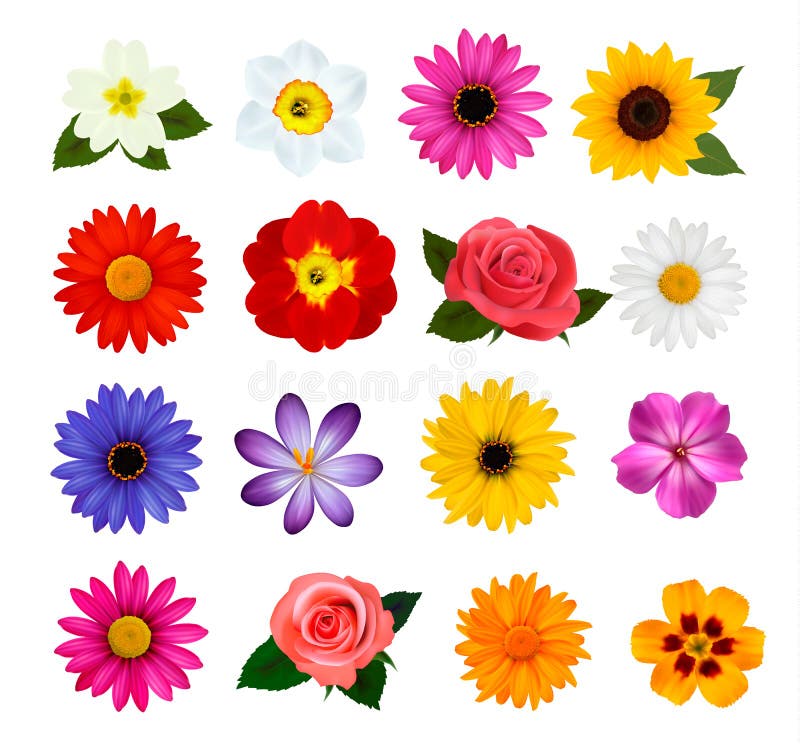 Coleção grande de flores coloridas. ilustração royalty free Coleção grande de flores coloridas. ilustração royalty free