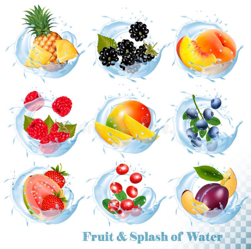 Big collection of fruit in a water splash icons. Pineapple, mango,peach, guava, blueberry. Big collection of fruit in a water splash icons. Pineapple, mango,peach, guava, blueberry