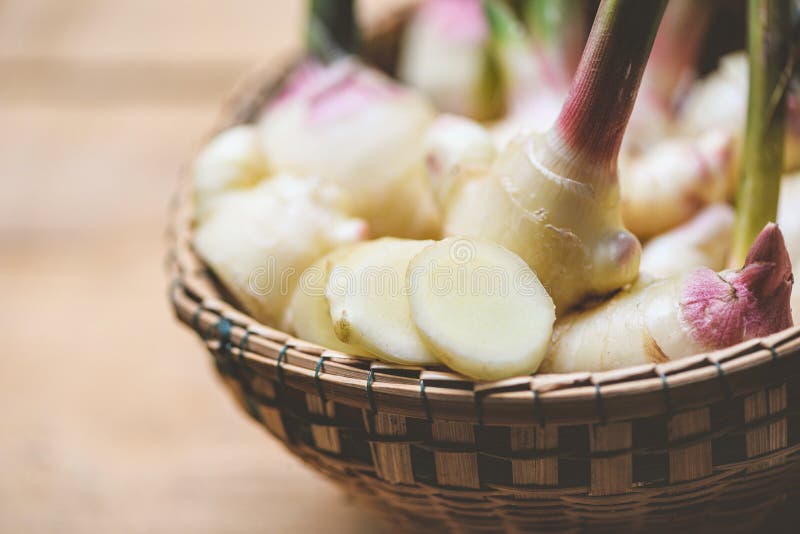 Colheita na cesta - gengibre novo fresco da raiz do gengibre para natural medicinal e o alimento da erva imagem de stock Colheita na cesta - gengibre novo fresco da raiz do gengibre para natural medicinal e o alimento da erva imagem de stock