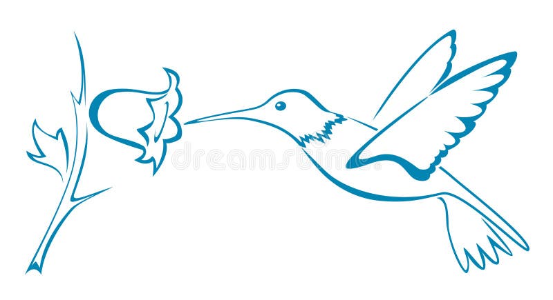Colibri stock illustratie Colibri stock illustratie