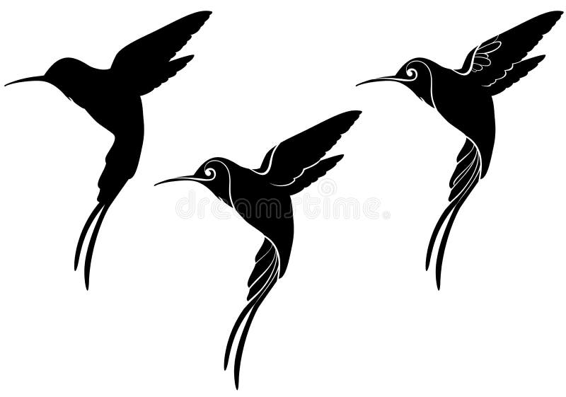 colibri illustration stock colibri illustration stock