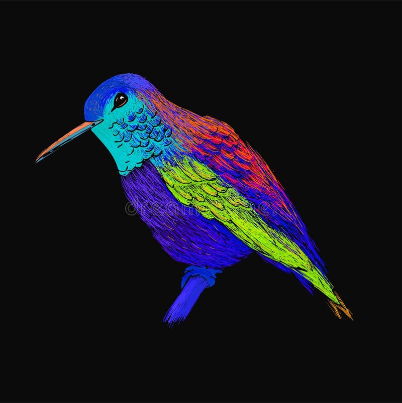 Colibri com plumagem lustrosa colorida Estilo moderno do pop art Pássaro colorido, fundo preto Ilustração do vetor do colibri ilustração royalty free Colibri com plumagem lustrosa colorida Estilo moderno do pop art Pássaro colorido, fundo preto Ilustração do vetor do colibri ilustração royalty free