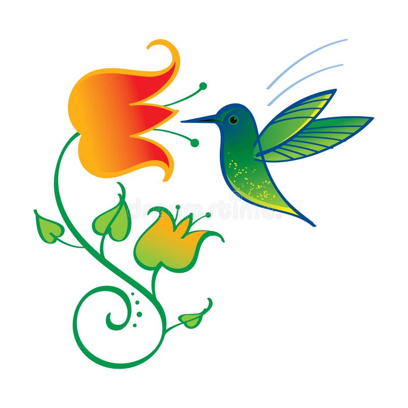 Colibri y flor stock de ilustración Colibri y flor stock de ilustración