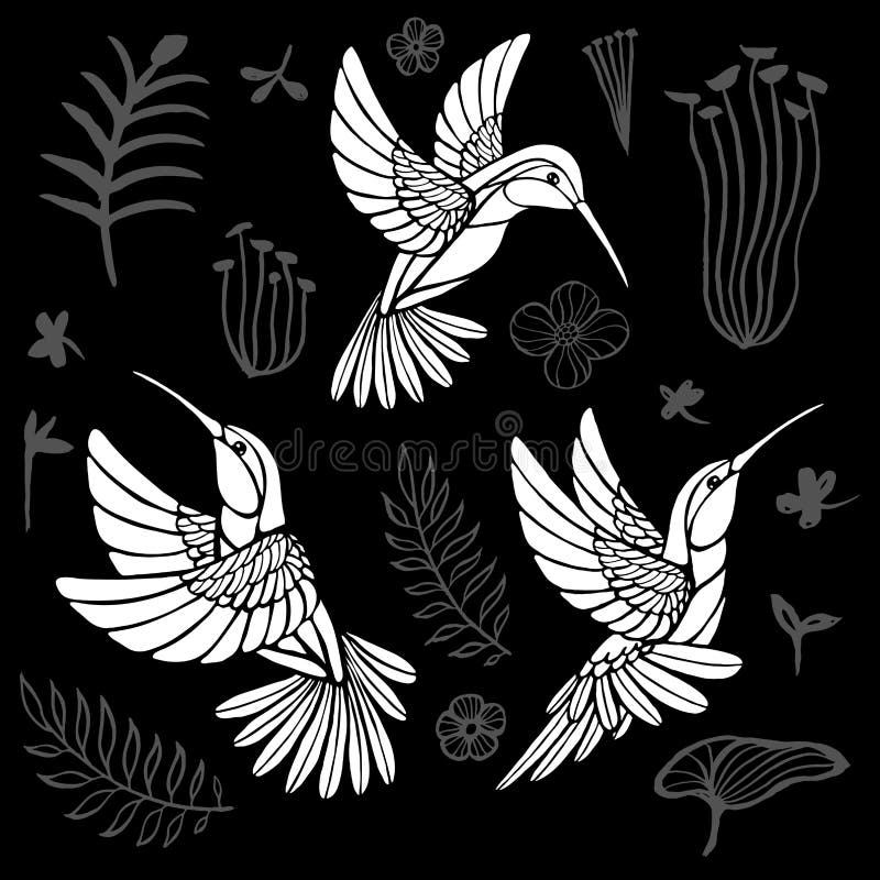Colibris avec les oiseaux noirs d'éléments floraux dans les lignes sur le style blanc de croquis de tatouage de fond illustration stock Colibris avec les oiseaux noirs d'éléments floraux dans les lignes sur le style blanc de croquis de tatouage de fond illustration stock