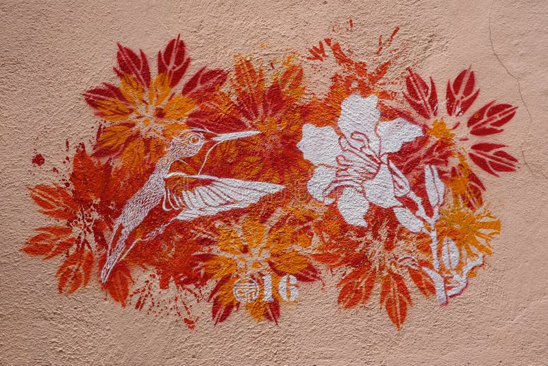 Colibrì e fiore illustrazione vettoriale Colibrì e fiore illustrazione vettoriale