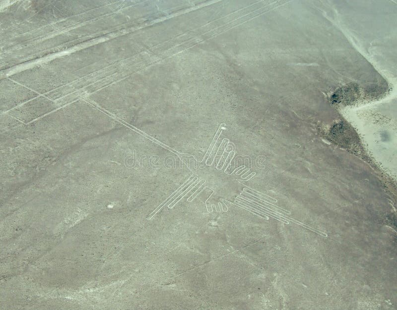 Colibrì, linee di Nazca