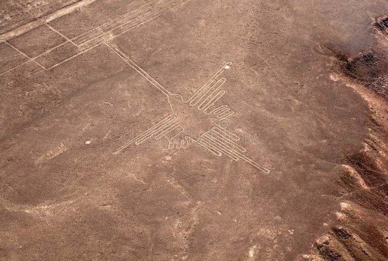 Colibrì a Nazca