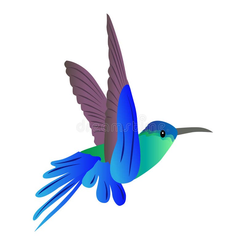 Colibrí coloreado hermoso del pájaro de vuelo del icono en un backgr blanco libre illustration Colibrí coloreado hermoso del pájaro de vuelo del icono en un backgr blanco libre illustration