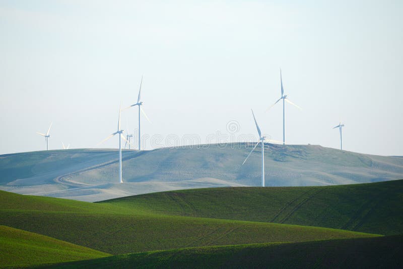 Colina de la granja del trigo con el molino de viento imagenes de archivo Colina de la granja del trigo con el molino de viento imagenes de archivo