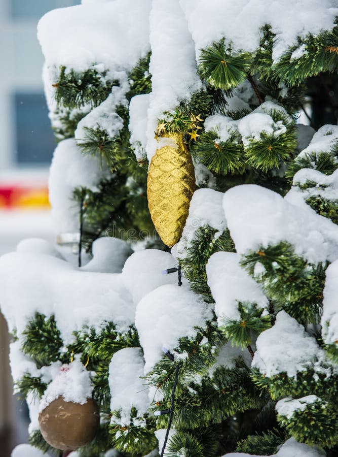 Colisão do ouro fotos de stock royalty free