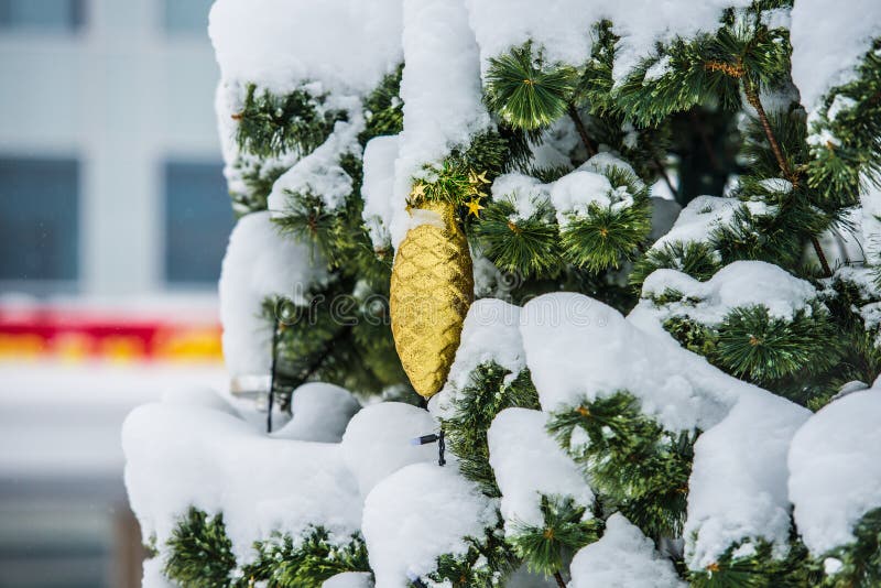Colisão do ouro fotografia de stock