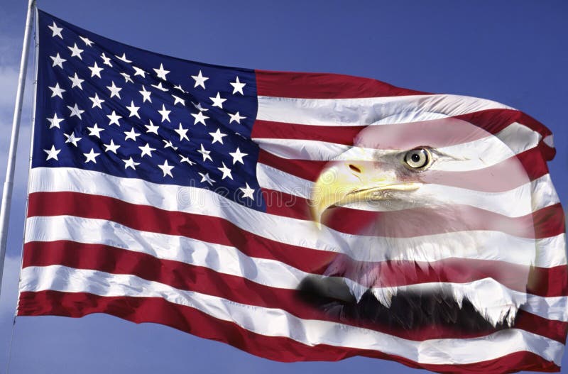 Collage of American Flag and Bald Eagle