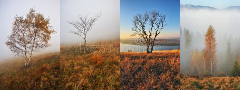 Collage Of Autumn Backgrounds royalty free stock photo