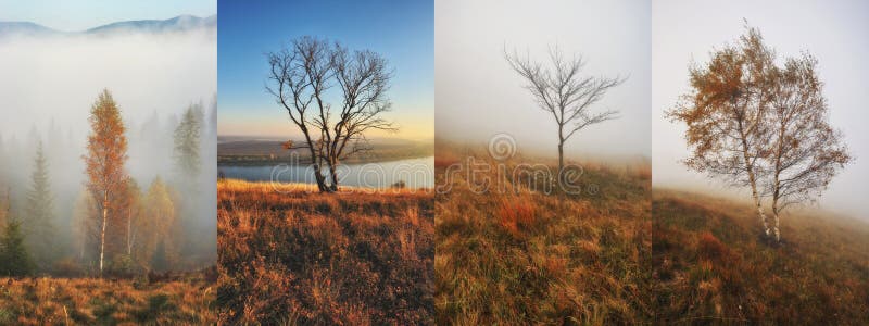 Collage Of Autumn Backgrounds stock image