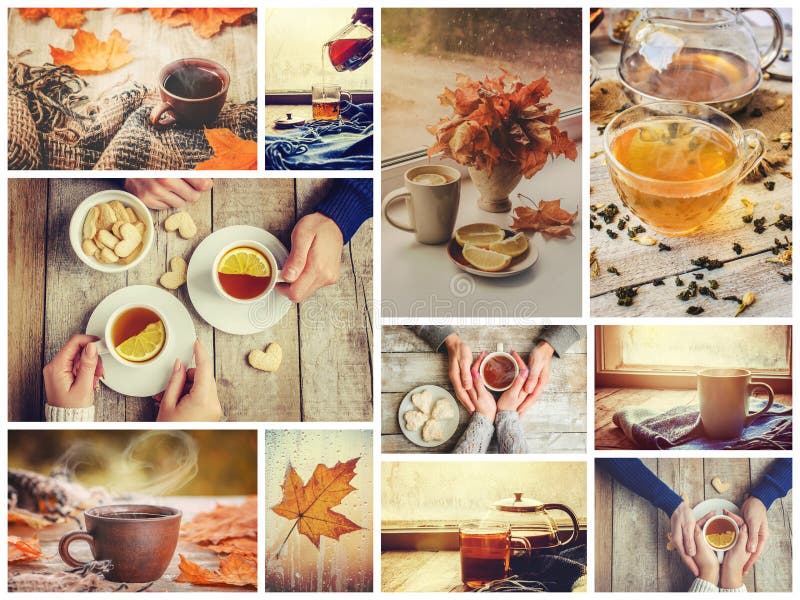 Collage autumn. Selective focus. royalty free stock photos
