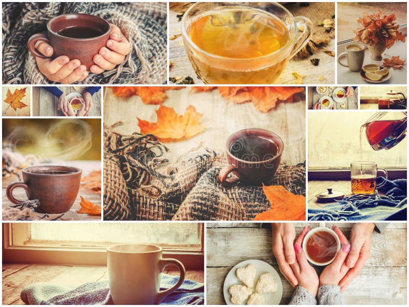 Collage autumn. Selective focus. stock photography