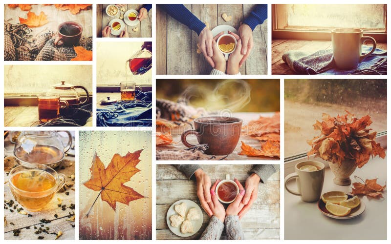 Collage autumn. Selective focus. stock photography
